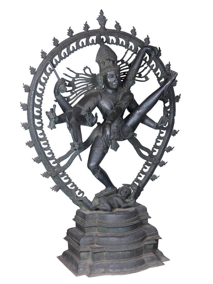 56" Lord Nataraja Form Of Shiva | Panchaloha Bronze Statue From Swamimalai | Madhuchista Vidhana (Lost-Wax)