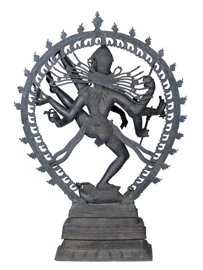 56" Lord Nataraja Form Of Shiva | Panchaloha Bronze Statue From Swamimalai | Madhuchista Vidhana (Lost-Wax)