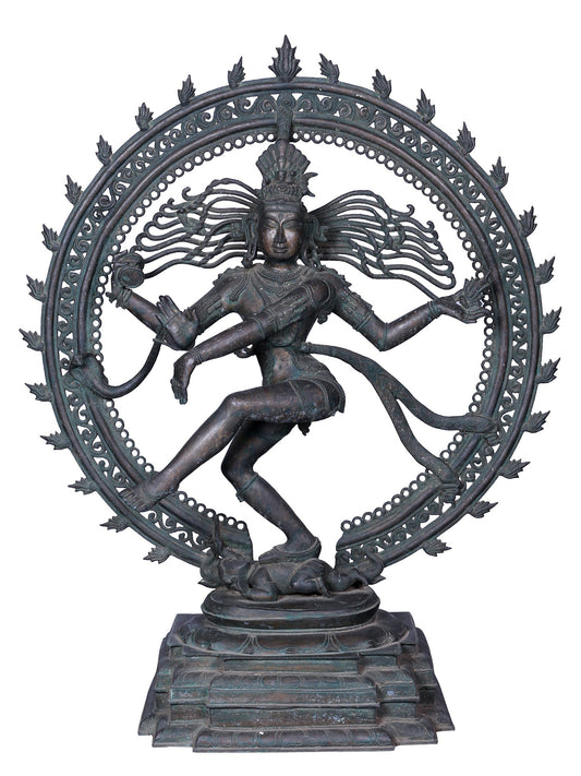 37" Nataraja (Dancing Lord Shiva) Sculpture | Panchaloha Bronze Statue From Swamimalai