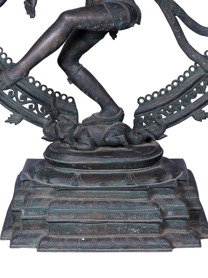 37" Nataraja (Dancing Lord Shiva) Sculpture | Panchaloha Bronze Statue From Swamimalai