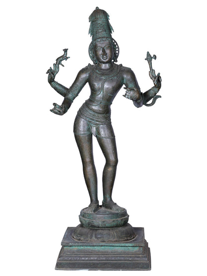 51'' Standing Lord Pashupatinath (Shiva) | Panchaloha Bronze Statue From Swamimalai