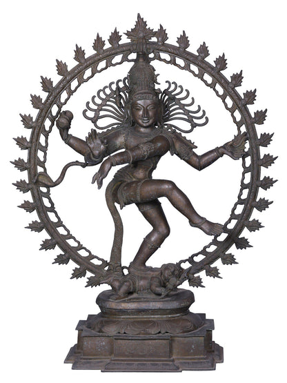 42" Large Dancing Lord Shiva (Nataraja) Statue | Panchaloha Bronze Statue From Swamimalai