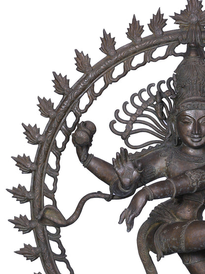 42" Large Dancing Lord Shiva (Nataraja) Statue | Panchaloha Bronze Statue From Swamimalai