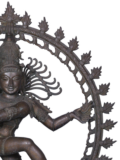 42" Large Dancing Lord Shiva (Nataraja) Statue | Panchaloha Bronze Statue From Swamimalai