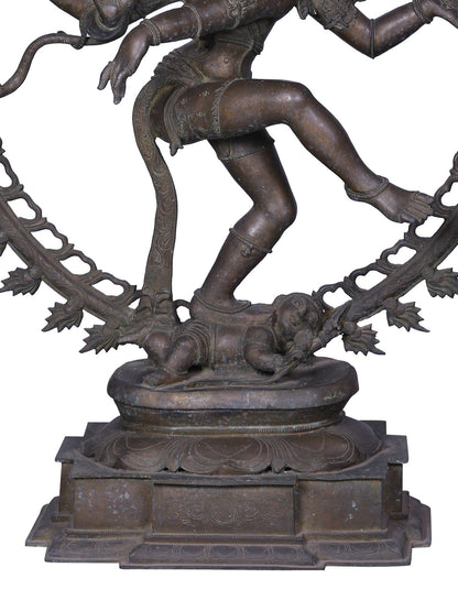 42" Large Dancing Lord Shiva (Nataraja) Statue | Panchaloha Bronze Statue From Swamimalai