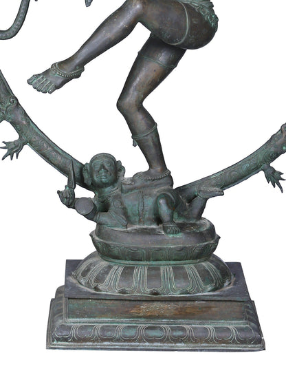 48'' Large Dancing Shiva (Nataraja) Sculpture | Panchaloha Bronze Statue From Swamimalai | Statue For Temple