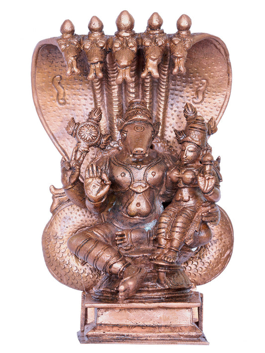 6" Varaha Form Of Lord Vishnu Bronze Statue With Devi Lakshmi Seated On Sheshnag Throne